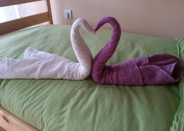 Πανσιόν Guesthouse Gauss 3*