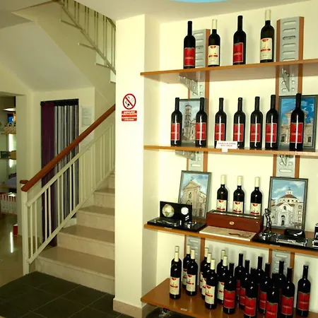 Penzion Guesthouse Gauss 3*